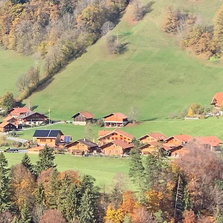 Chalet Park Apartment Mit Sauna Hamam Diemtigen 외부 사진