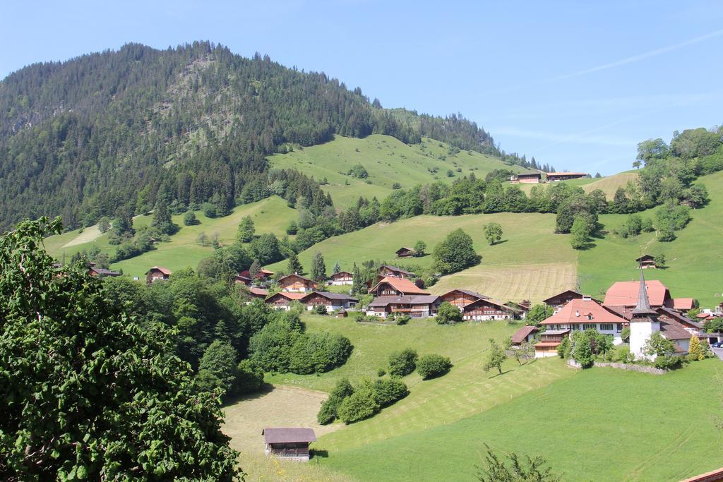 Chalet Park Apartment Mit Sauna Hamam Diemtigen 객실 사진