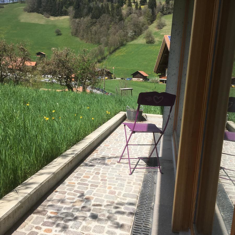 Chalet Park Apartment Mit Sauna Hamam Diemtigen 외부 사진