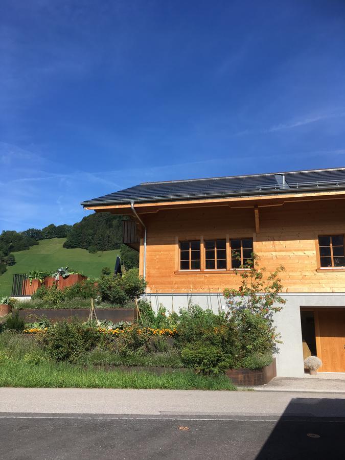 Chalet Park Apartment Mit Sauna Hamam Diemtigen 외부 사진