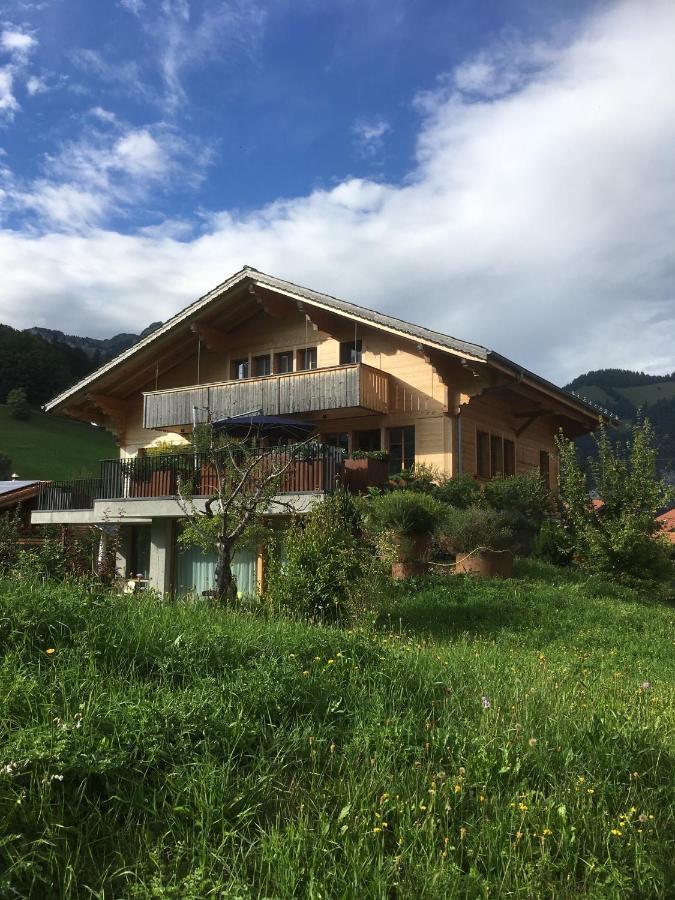 Chalet Park Apartment Mit Sauna Hamam Diemtigen 외부 사진