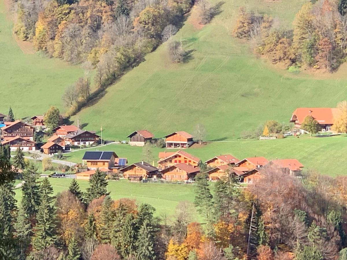 Chalet Park Apartment Mit Sauna Hamam Diemtigen 외부 사진